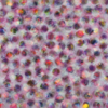 "Contemporary graphic art from Asia" is visiting on March 7 at the Mission gallery